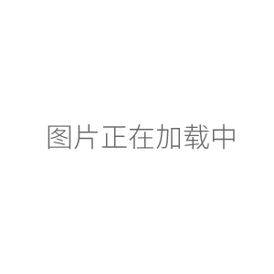 上海恒平AE224分析天平 萬(wàn)分之一電子天平120g/0.1mg